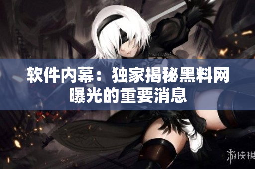 软件内幕：独家揭秘黑料网曝光的重要消息