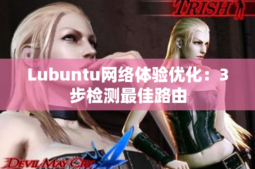 Lubuntu网络体验优化：3步检测最佳路由