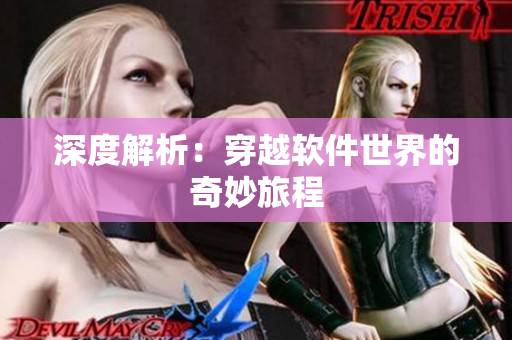 深度解析：穿越软件世界的奇妙旅程