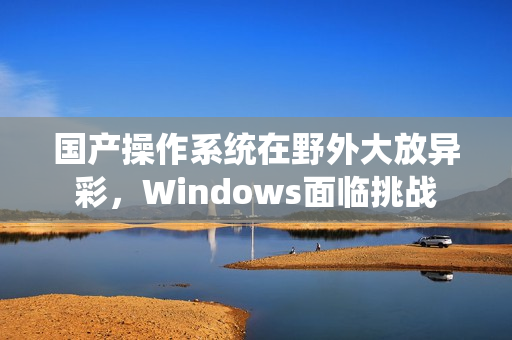 国产操作系统在野外大放异彩，Windows面临挑战