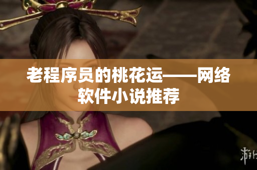 老程序员的桃花运——网络软件小说推荐