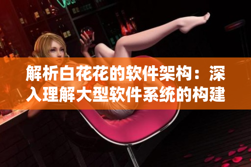 解析白花花的软件架构：深入理解大型软件系统的构建