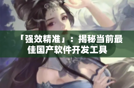 「强效精准」：揭秘当前最佳国产软件开发工具
