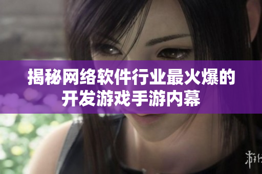 揭秘网络软件行业最火爆的开发游戏手游内幕