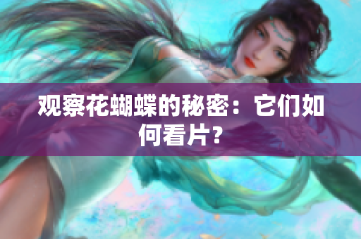 观察花蝴蝶的秘密：它们如何看片？