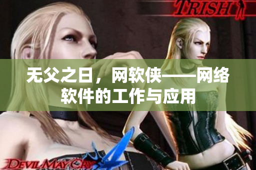 无父之日，网软侠——网络软件的工作与应用