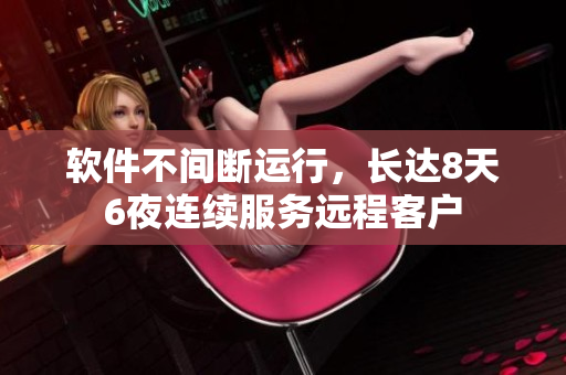 软件不间断运行，长达8天6夜连续服务远程客户