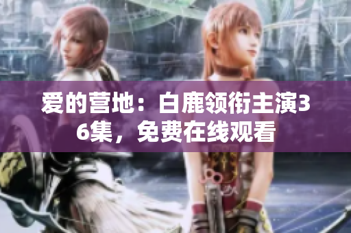 爱的营地：白鹿领衔主演36集，免费在线观看