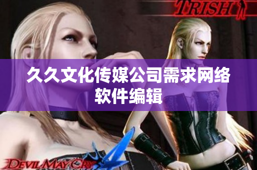 久久文化传媒公司需求网络软件编辑