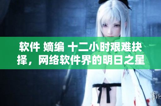 软件 嫡编 十二小时艰难抉择，网络软件界的明日之星如何应对？