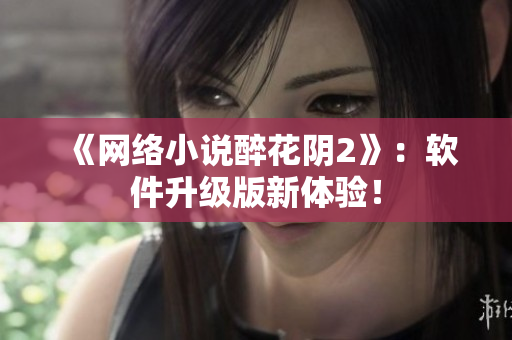 《网络小说醉花阴2》：软件升级版新体验！
