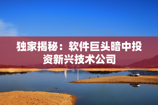 独家揭秘：软件巨头暗中投资新兴技术公司