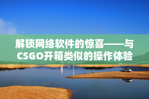 解锁网络软件的惊喜——与CSGO开箱类似的操作体验