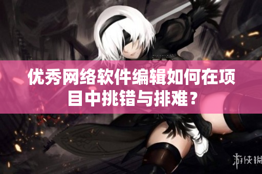 优秀网络软件编辑如何在项目中挑错与排难？