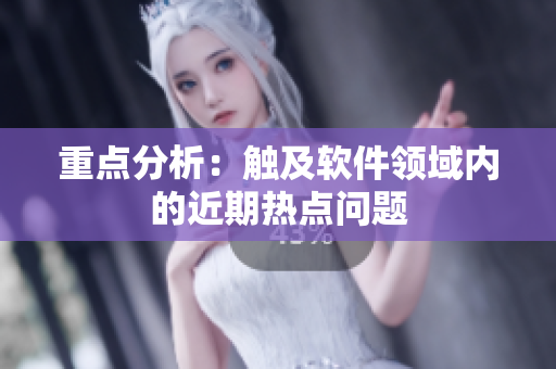 重点分析：触及软件领域内的近期热点问题
