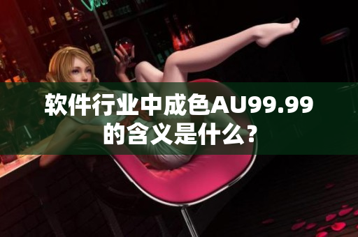 软件行业中成色AU99.99的含义是什么？