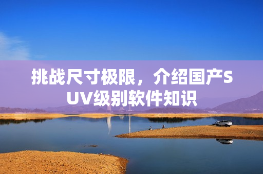 挑战尺寸极限，介绍国产SUV级别软件知识