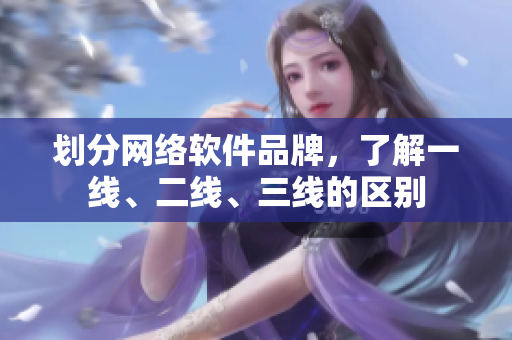 划分网络软件品牌，了解一线、二线、三线的区别