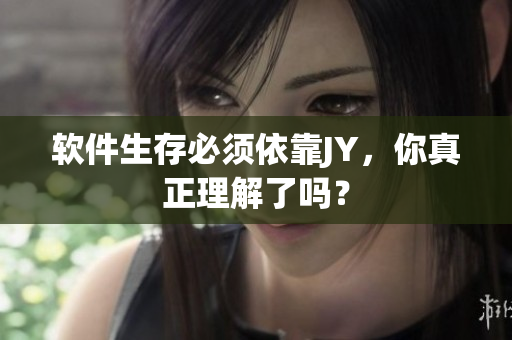 软件生存必须依靠JY，你真正理解了吗？