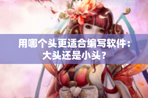 用哪个头更适合编写软件：大头还是小头？