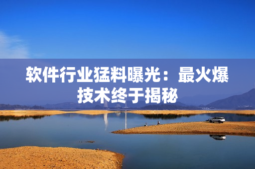 软件行业猛料曝光：最火爆技术终于揭秘