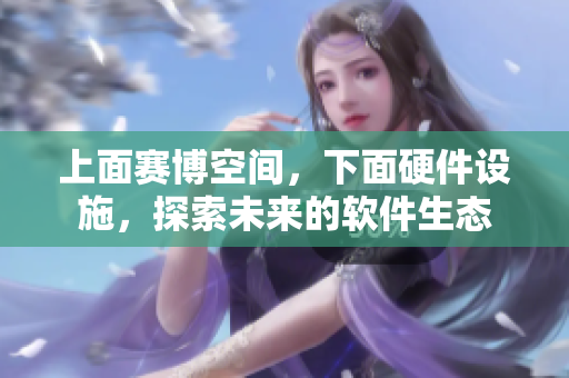 上面赛博空间，下面硬件设施，探索未来的软件生态