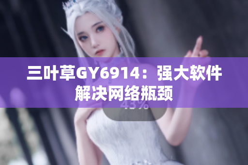 三叶草GY6914：强大软件解决网络瓶颈