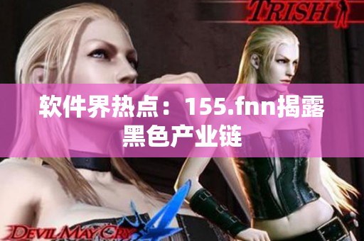 软件界热点：155.fnn揭露黑色产业链