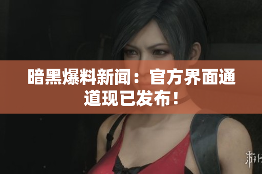暗黑爆料新闻：官方界面通道现已发布！