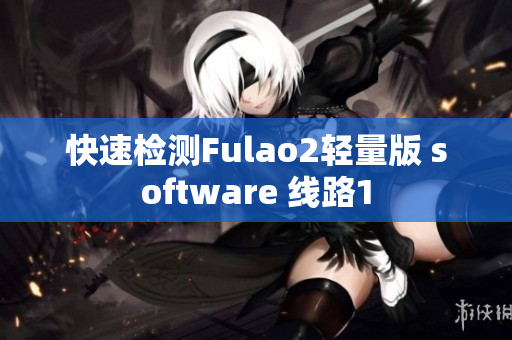 快速检测Fulao2轻量版 software 线路1
