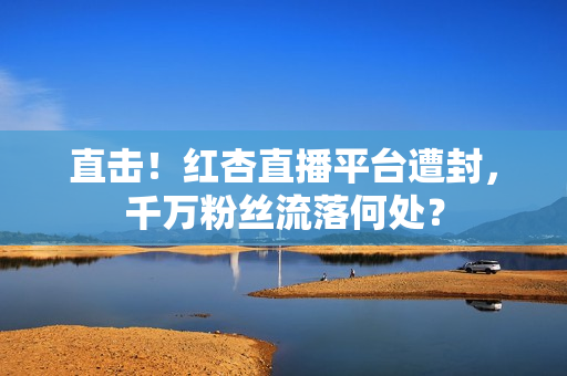直击！红杏直播平台遭封，千万粉丝流落何处？