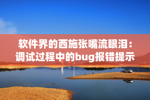 软件界的西施张嘴流眼泪：调试过程中的bug报错提示