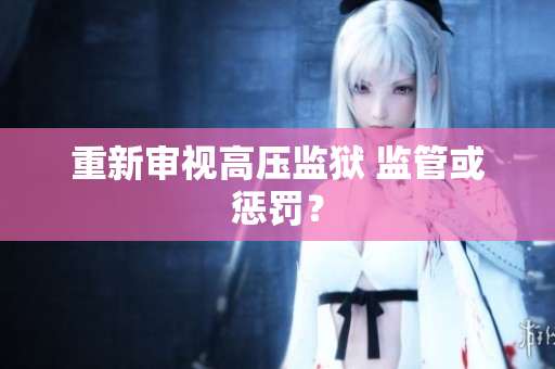 重新审视高压监狱 监管或惩罚？
