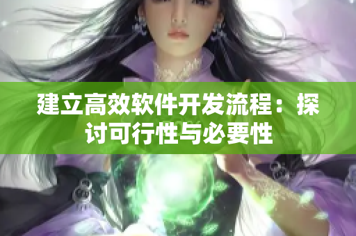 建立高效软件开发流程：探讨可行性与必要性