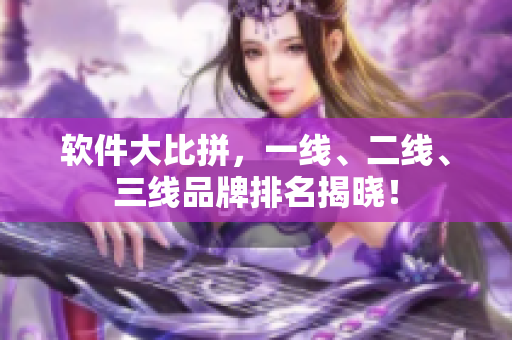软件大比拼，一线、二线、三线品牌排名揭晓！