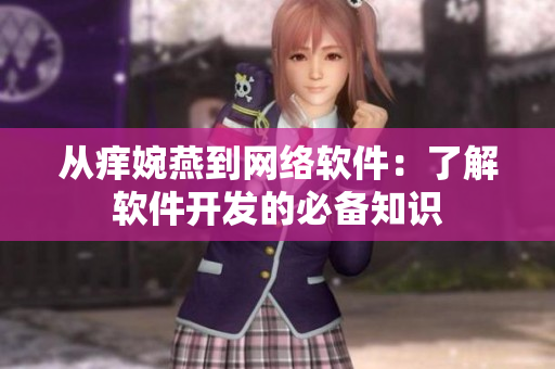 从痒婉燕到网络软件：了解软件开发的必备知识