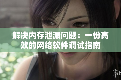 解决内存泄漏问题：一份高效的网络软件调试指南