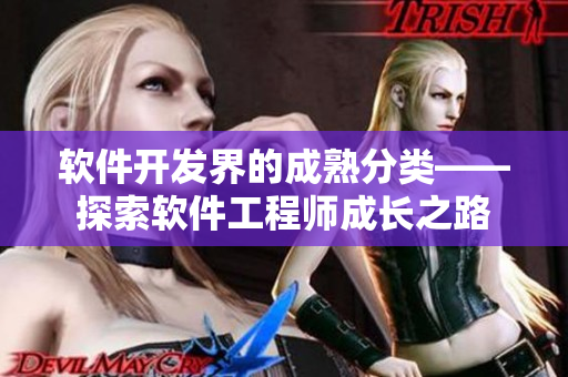软件开发界的成熟分类——探索软件工程师成长之路