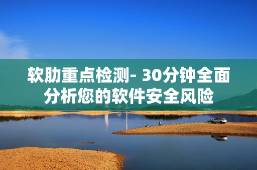 软肋重点检测- 30分钟全面分析您的软件安全风险