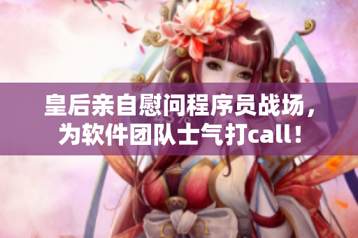 皇后亲自慰问程序员战场，为软件团队士气打call！