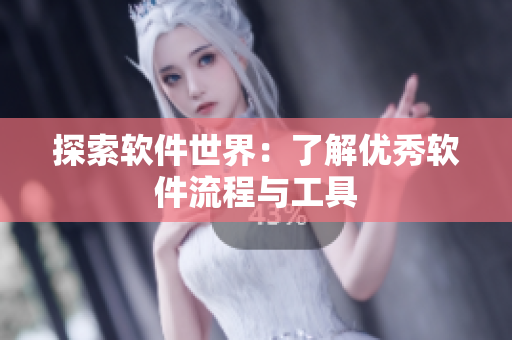 探索软件世界：了解优秀软件流程与工具