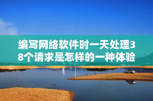 编写网络软件时一天处理38个请求是怎样的一种体验？