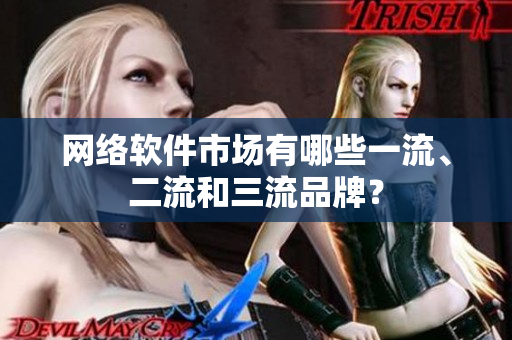 网络软件市场有哪些一流、二流和三流品牌？