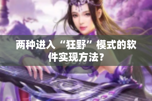 两种进入“狂野”模式的软件实现方法？
