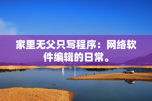 家里无父只写程序：网络软件编辑的日常。