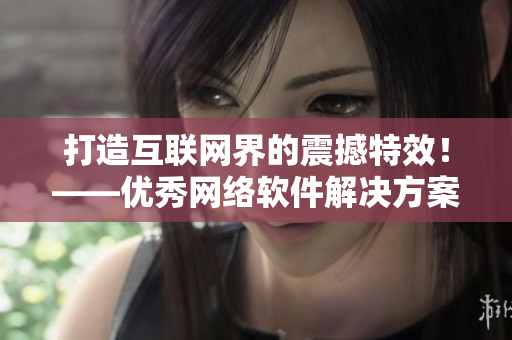 打造互联网界的震撼特效！——优秀网络软件解决方案推荐