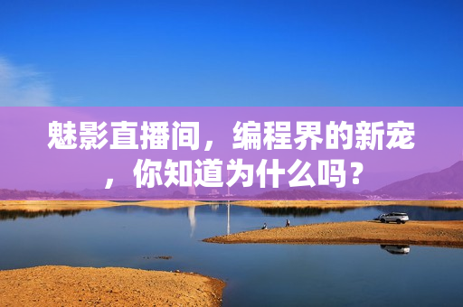魅影直播间，编程界的新宠，你知道为什么吗？