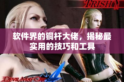 软件界的铜杆大佬，揭秘最实用的技巧和工具
