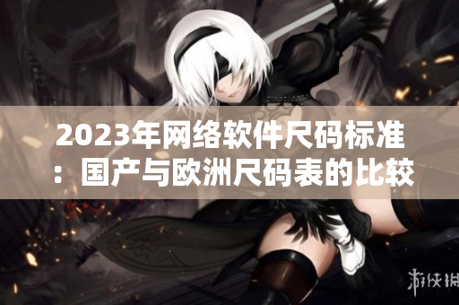 2023年网络软件尺码标准：国产与欧洲尺码表的比较