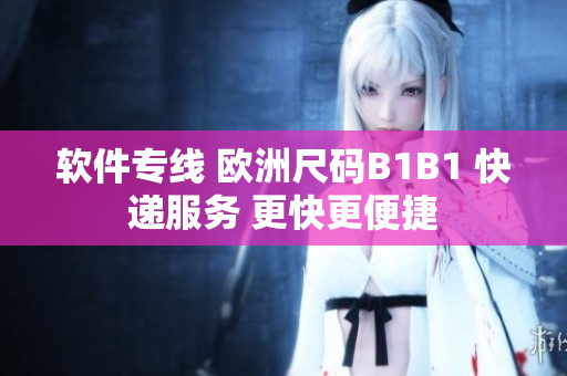 软件专线 欧洲尺码B1B1 快递服务 更快更便捷